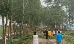 吉林榆树最新爆料,揭秘神秘事件背后的真相