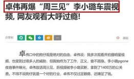 卓伟爆料李小璐最新,李小璐事件最新进展揭秘