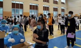 郑州猫舍爆料最新消息,揭秘猫咪界的神秘事件！