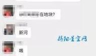 新河爆料最新,揭秘最新热点事件背后的真相