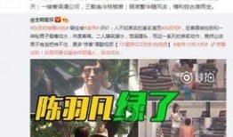 卓伟最新爆料白百合,揭秘婚姻疑云背后的真相