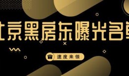 北京房东最新爆料,揭秘租房市场的最新动态与痛点